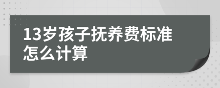 13岁孩子抚养费标准怎么计算