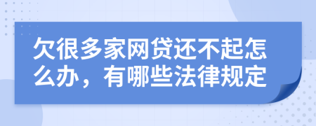 欠很多家网贷还不起怎么办，有哪些法律规定