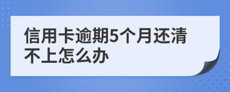 信用卡逾期5个月还清不上怎么办