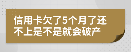 信用卡欠了5个月了还不上是不是就会破产