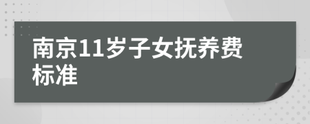 南京11岁子女抚养费标准