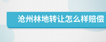 沧州林地转让怎么样赔偿