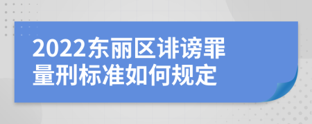 2022东丽区诽谤罪量刑标准如何规定