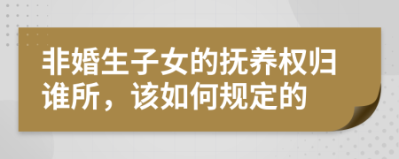 非婚生子女的抚养权归谁所，该如何规定的