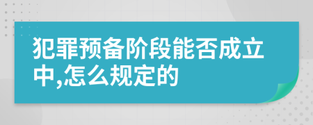 犯罪预备阶段能否成立中,怎么规定的