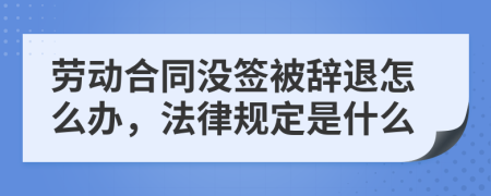 劳动合同没签被辞退怎么办，法律规定是什么