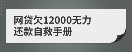 网贷欠12000无力还款自救手册