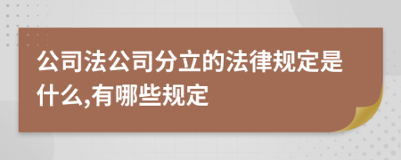 公司法公司分立的法律规定是什么,有哪些规定
