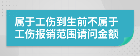 属于工伤到生前不属于工伤报销范围请问金额