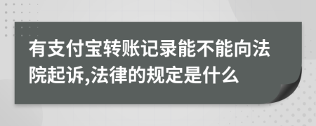有支付宝转账记录能不能向法院起诉,法律的规定是什么