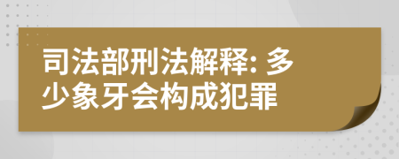 司法部刑法解释: 多少象牙会构成犯罪