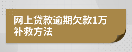 网上贷款逾期欠款1万补救方法