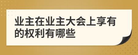 业主在业主大会上享有的权利有哪些