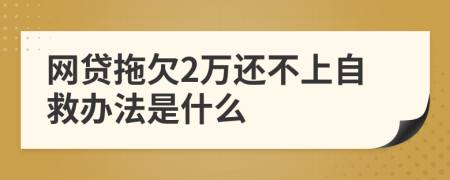 网贷拖欠2万还不上自救办法是什么