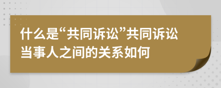 什么是“共同诉讼”共同诉讼当事人之间的关系如何