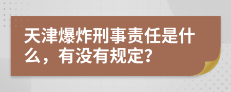 天津爆炸刑事责任是什么，有没有规定？