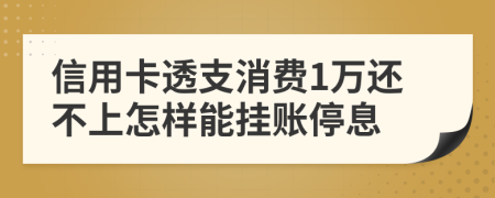 信用卡透支消费1万还不上怎样能挂账停息