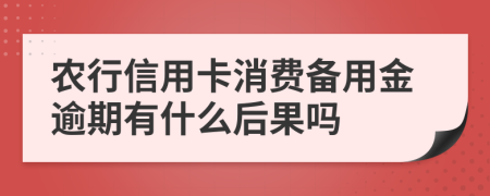 农行信用卡消费备用金逾期有什么后果吗