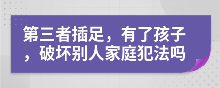 第三者插足，有了孩子，破坏别人家庭犯法吗