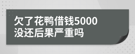 欠了花鸭借钱5000没还后果严重吗