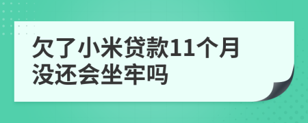 欠了小米贷款11个月没还会坐牢吗