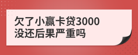 欠了小赢卡贷3000没还后果严重吗