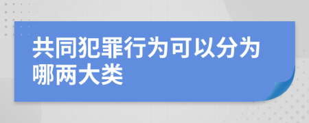 共同犯罪行为可以分为哪两大类