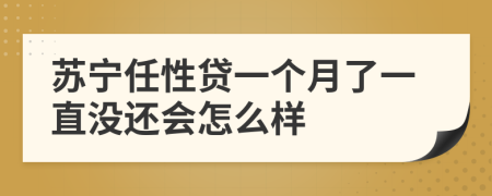 苏宁任性贷一个月了一直没还会怎么样