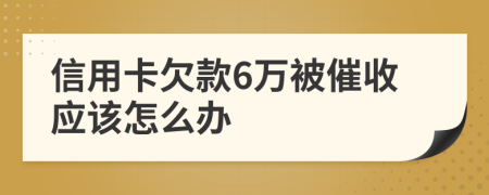 信用卡欠款6万被催收应该怎么办