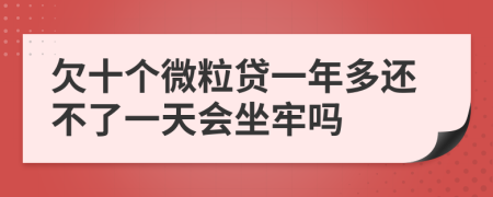 欠十个微粒贷一年多还不了一天会坐牢吗