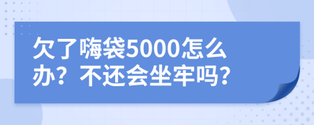 欠了嗨袋5000怎么办？不还会坐牢吗？