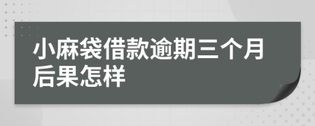 小麻袋借款逾期三个月后果怎样