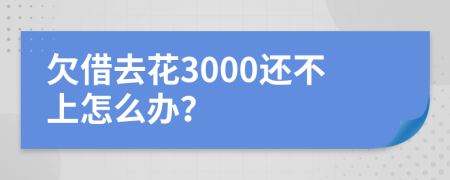 欠借去花3000还不上怎么办？