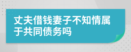 丈夫借钱妻子不知情属于共同债务吗