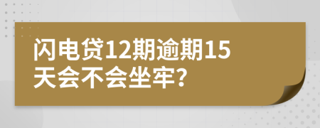 闪电贷12期逾期15天会不会坐牢？