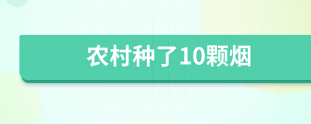 农村种了10颗烟