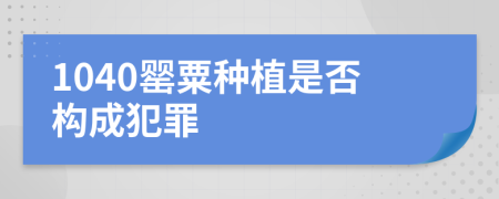 1040罂粟种植是否构成犯罪