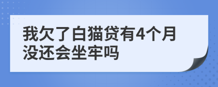 我欠了白猫贷有4个月没还会坐牢吗