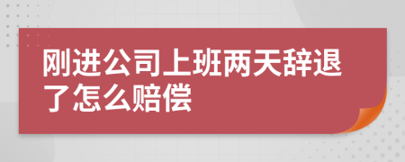 刚进公司上班两天辞退了怎么赔偿