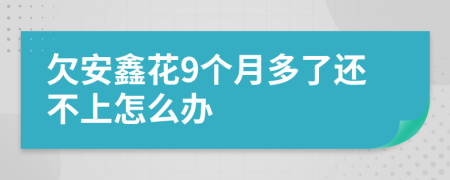 欠安鑫花9个月多了还不上怎么办