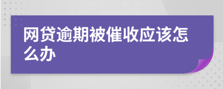 网贷逾期被催收应该怎么办