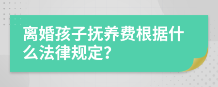 离婚孩子抚养费根据什么法律规定？