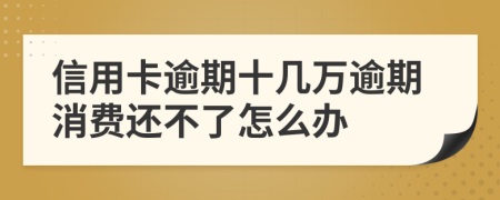 信用卡逾期十几万逾期消费还不了怎么办