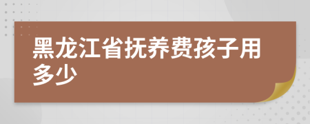 黑龙江省抚养费孩子用多少