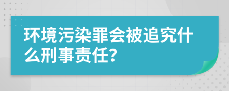 环境污染罪会被追究什么刑事责任？