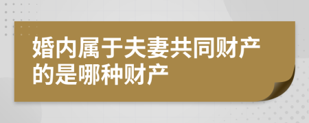 婚内属于夫妻共同财产的是哪种财产