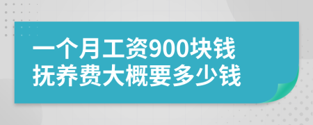 一个月工资900块钱抚养费大概要多少钱