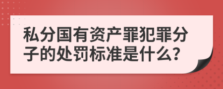 私分国有资产罪犯罪分子的处罚标准是什么？