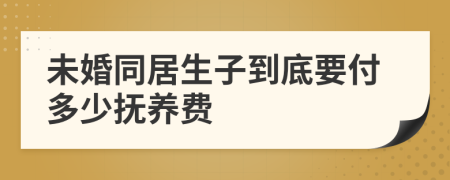 未婚同居生子到底要付多少抚养费