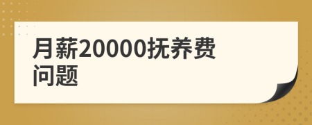 月薪20000抚养费问题